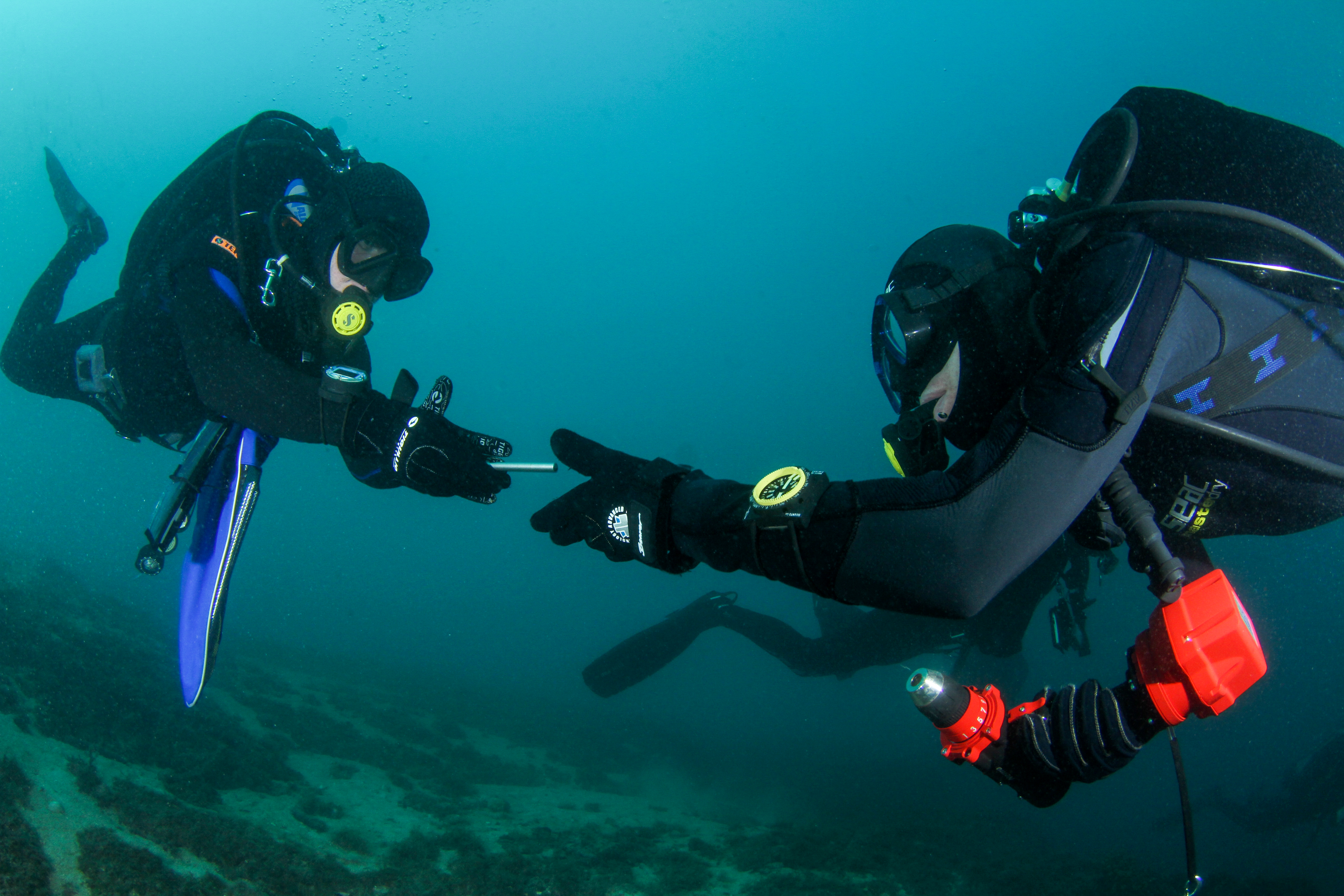 Scientific Diving - Theoretical course